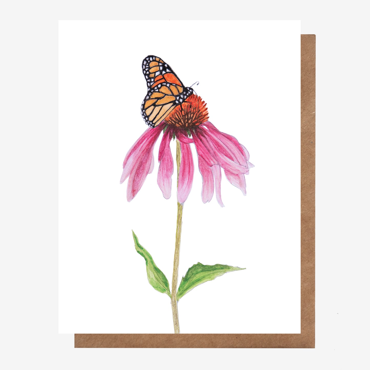 Monarch & Coneflower Card