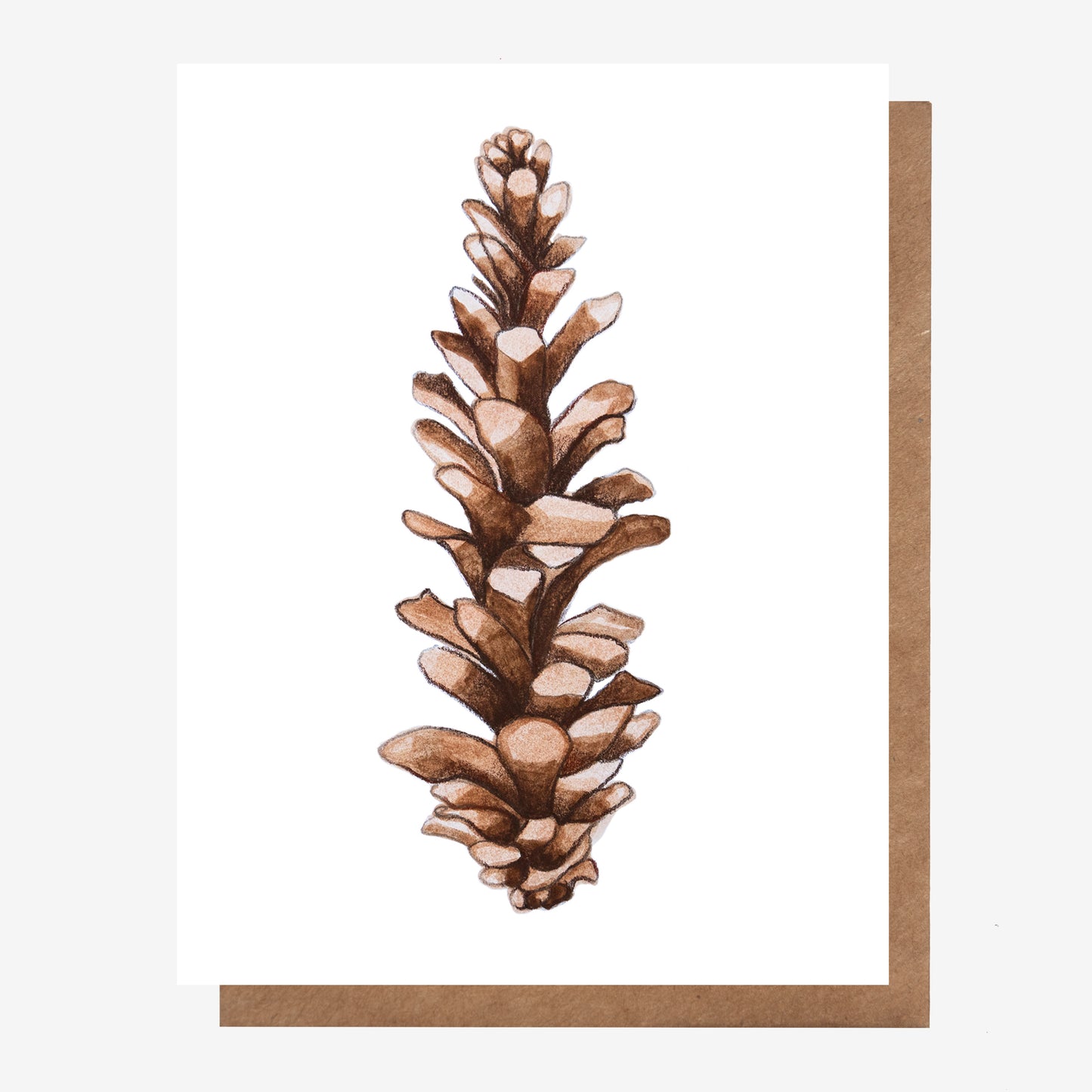 Pinecone Card
