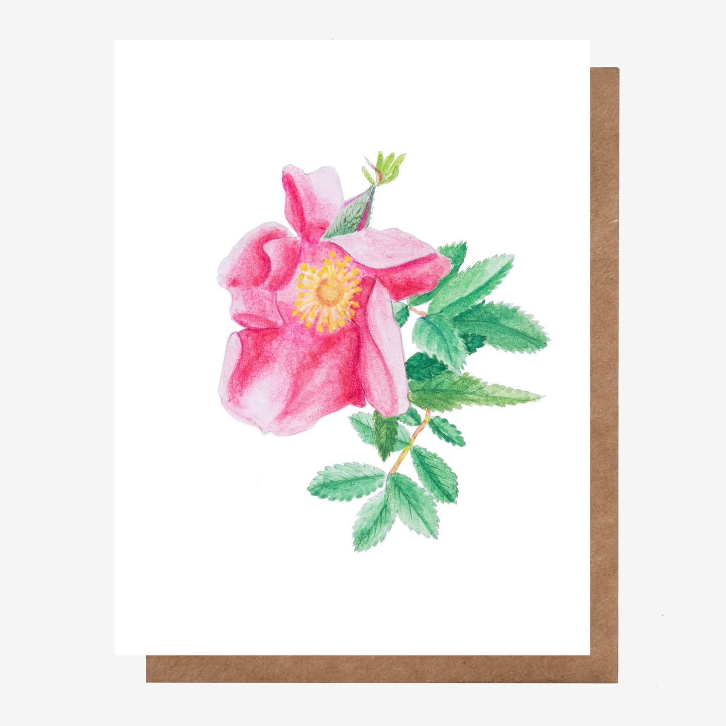 Wild Rose Card