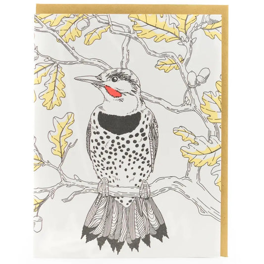 "Northern Flicker" All Occasion Card