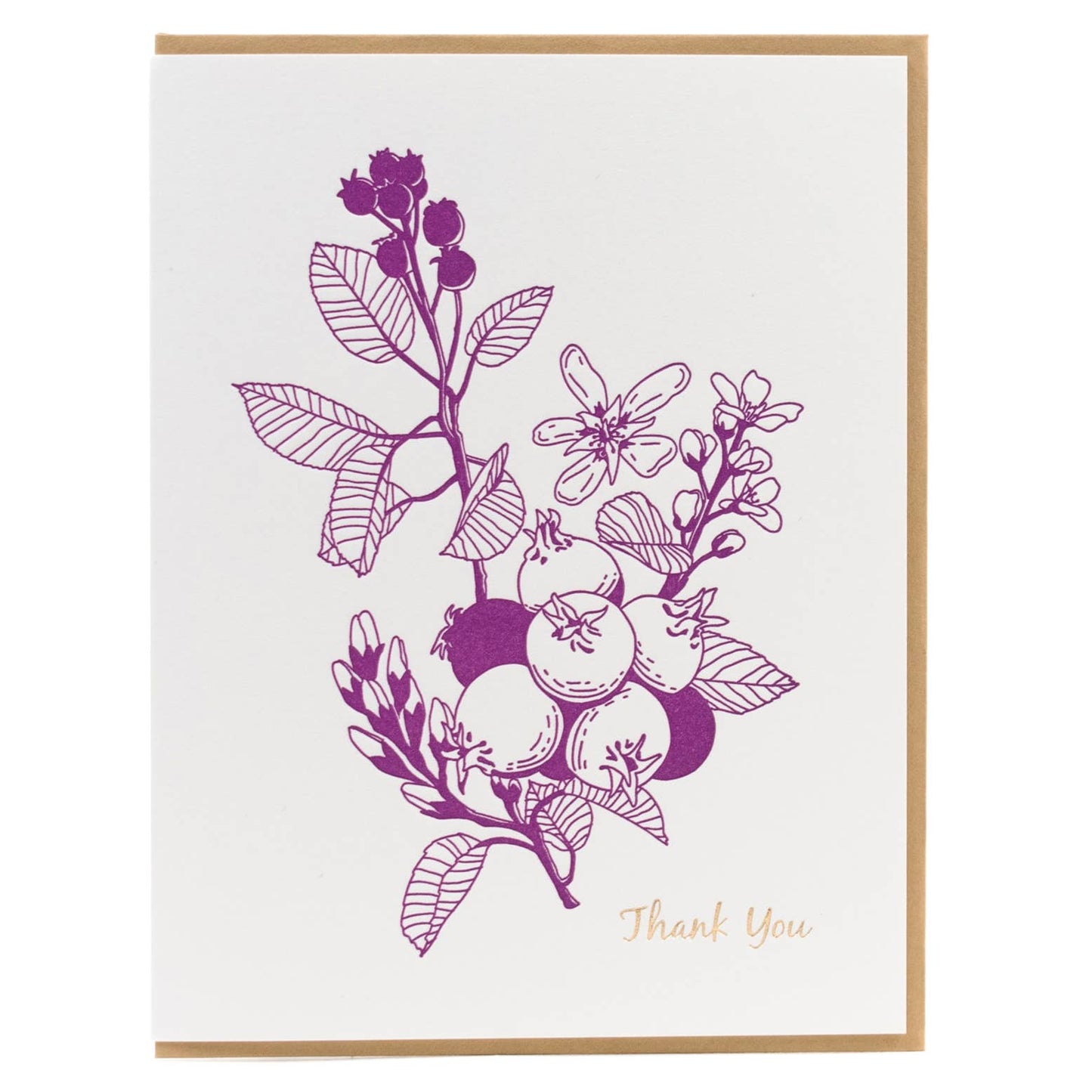 "Saskatoon Berry" Foraging Thank You Card