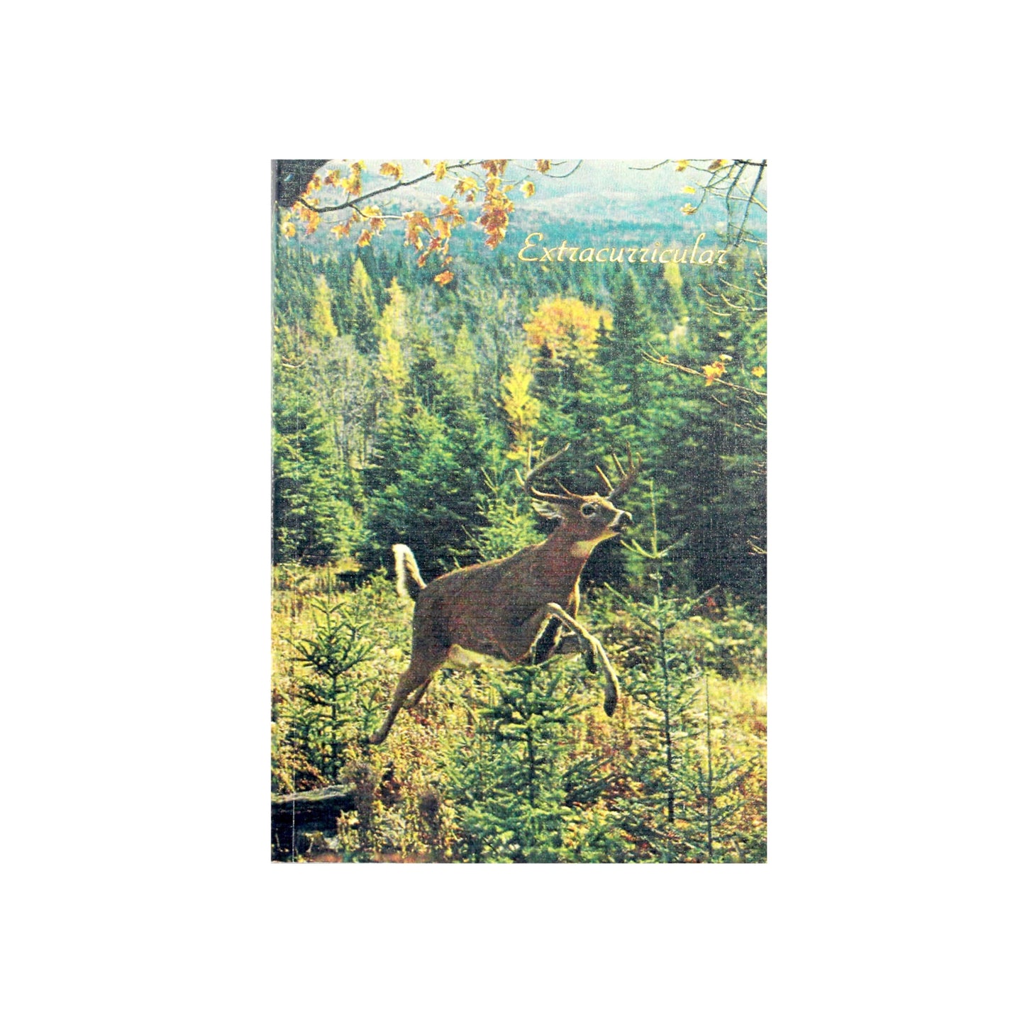 Canadian made notebook with a printed photograph of a prancing white tailed buck on the cover.
