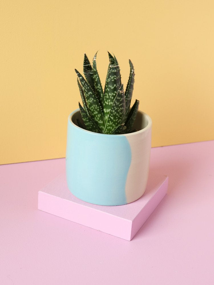 Twist Mini Planter