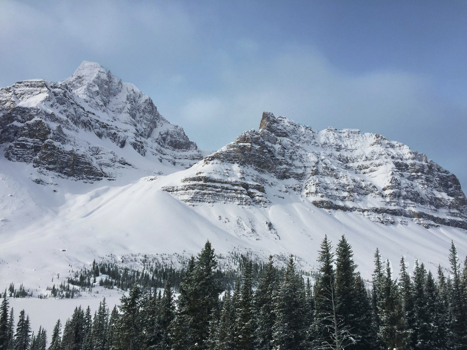 Snowy Canadian mountain of Alberta near the Jasper Ice Fields under a blue sky..
