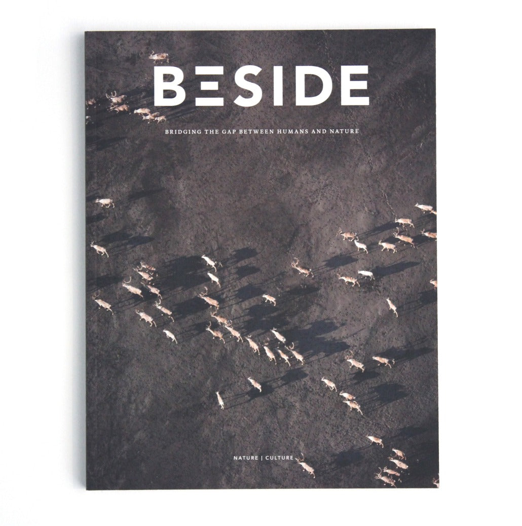 Cover of Canadian made Beside Magazine "Bridging the gap between humans and nature" Issue 04.