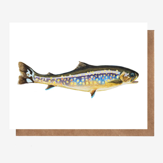 Brook Trout Card