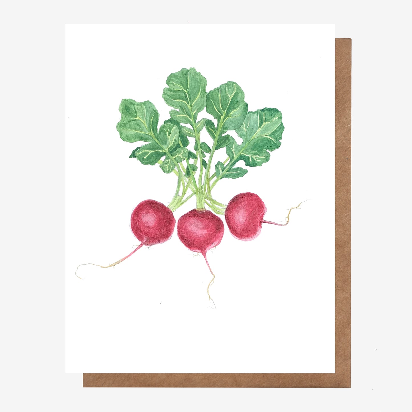 Radish Root Vegetable Card