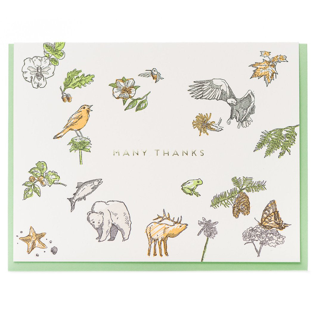 "Flora & Fauna" Thank You Card