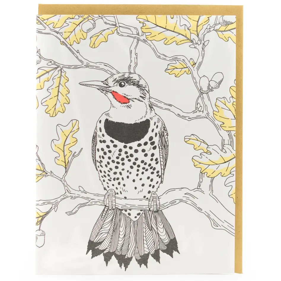 "Northern Flicker" All Occasion Card