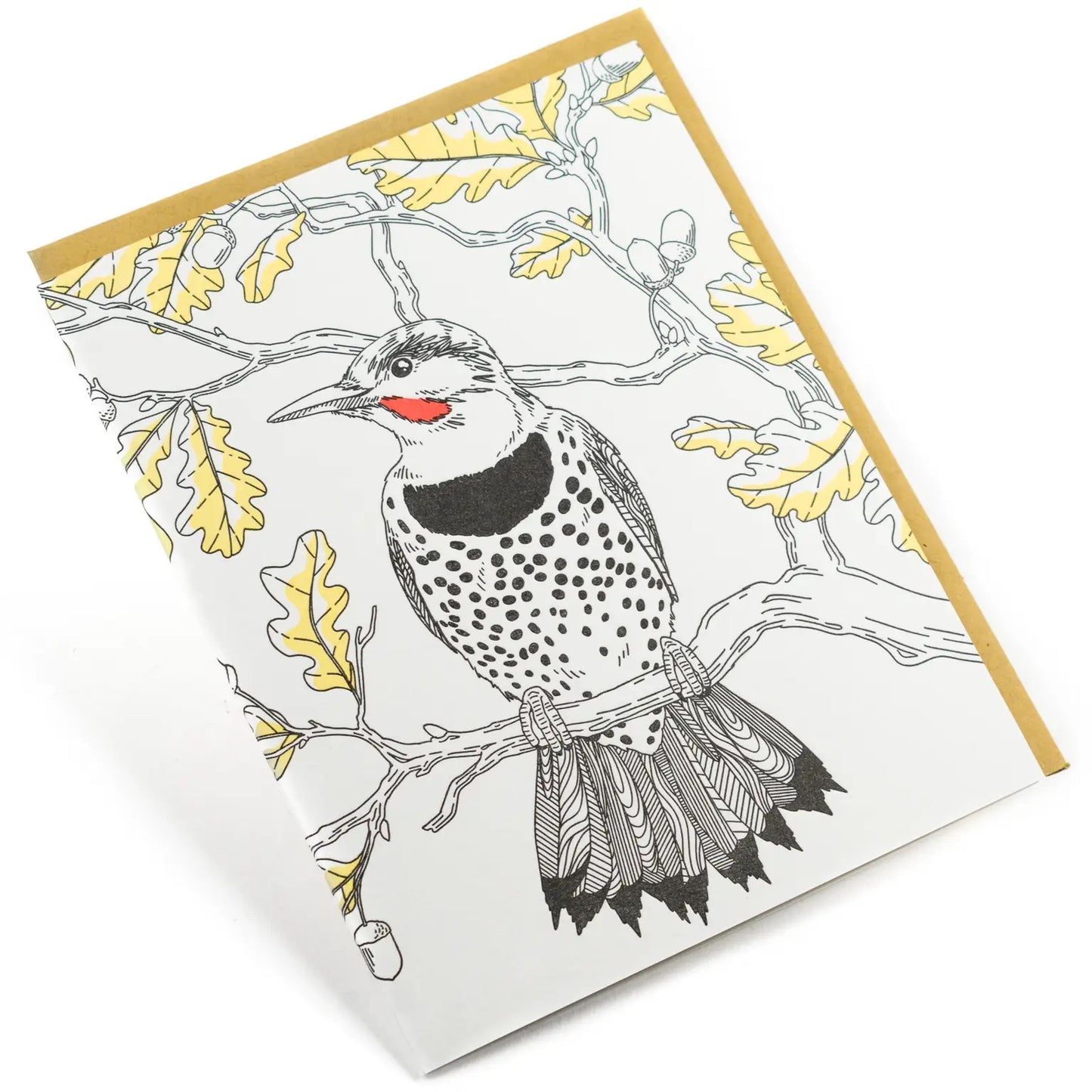 "Northern Flicker" All Occasion Card