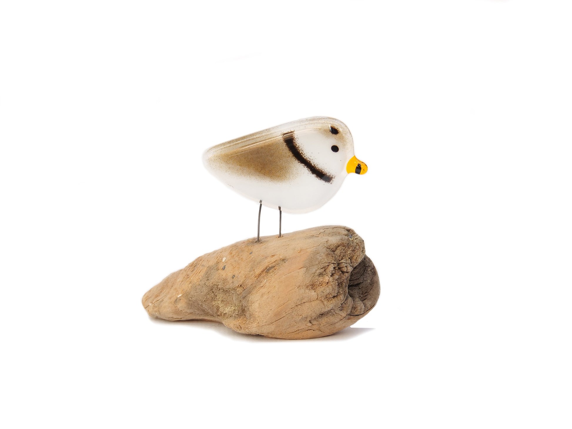 Glass piping plover sculpture on driftwood, handmade in Canada.