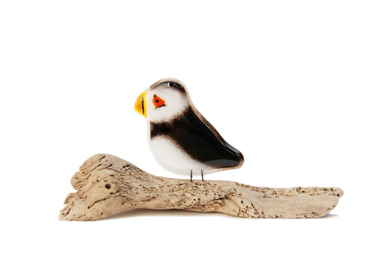 Glass Atlantic Puffin sculpture on driftwood, handmade in Canada.