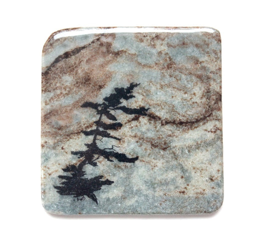 Granite coaster with windswept pine design made in Canada.