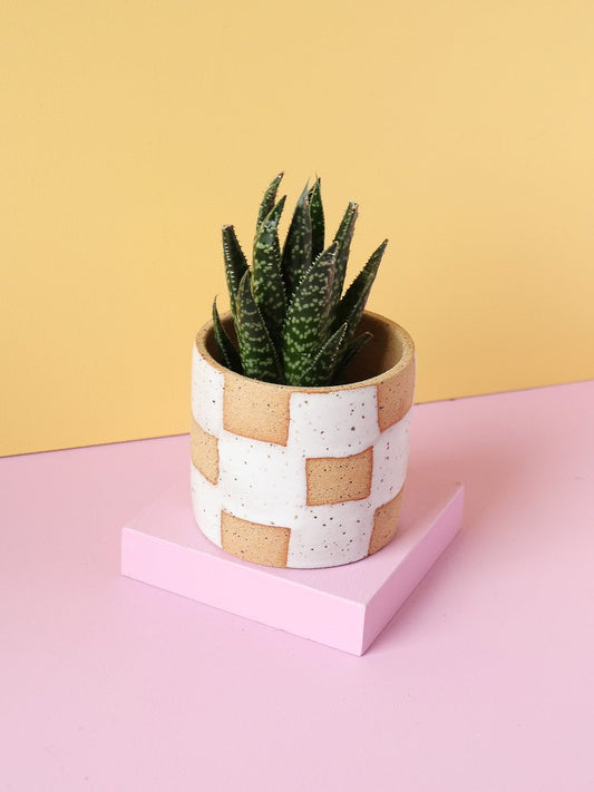 Checkerboard Mini Planter