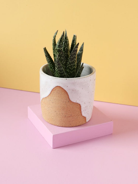 Drift Mini Planter