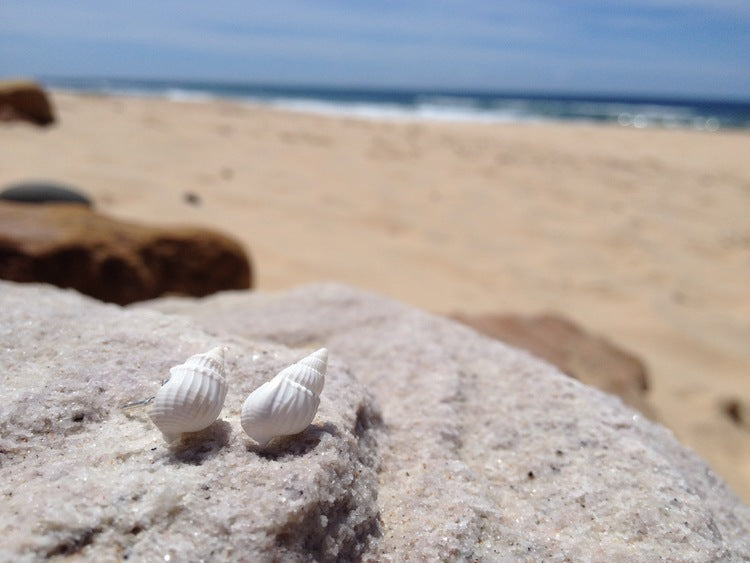 Periwinkle Shell Earrings